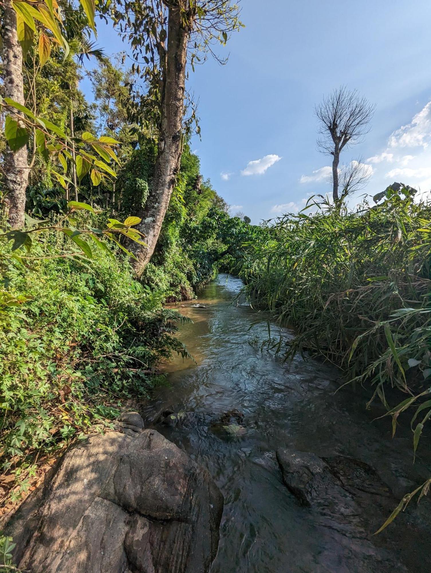 Estate Mane Villa Hanbal Luaran gambar